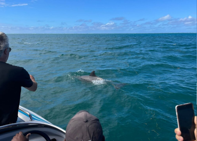 5 Islands Tour *East Coast – Ile aux Cerfs + Ile aux Flamants + Ile au Phare + Ile De La Passe + Ile aux Aigrettes + GRSE Waterfall + Lunch & Drinks